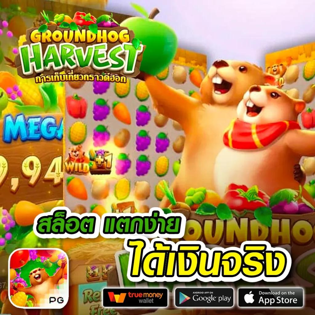 ทดลองเล่นสล็อต joker เกมใหม่ มาแรง เล่นง่าย จ่ายจริง ได้เงินจริง